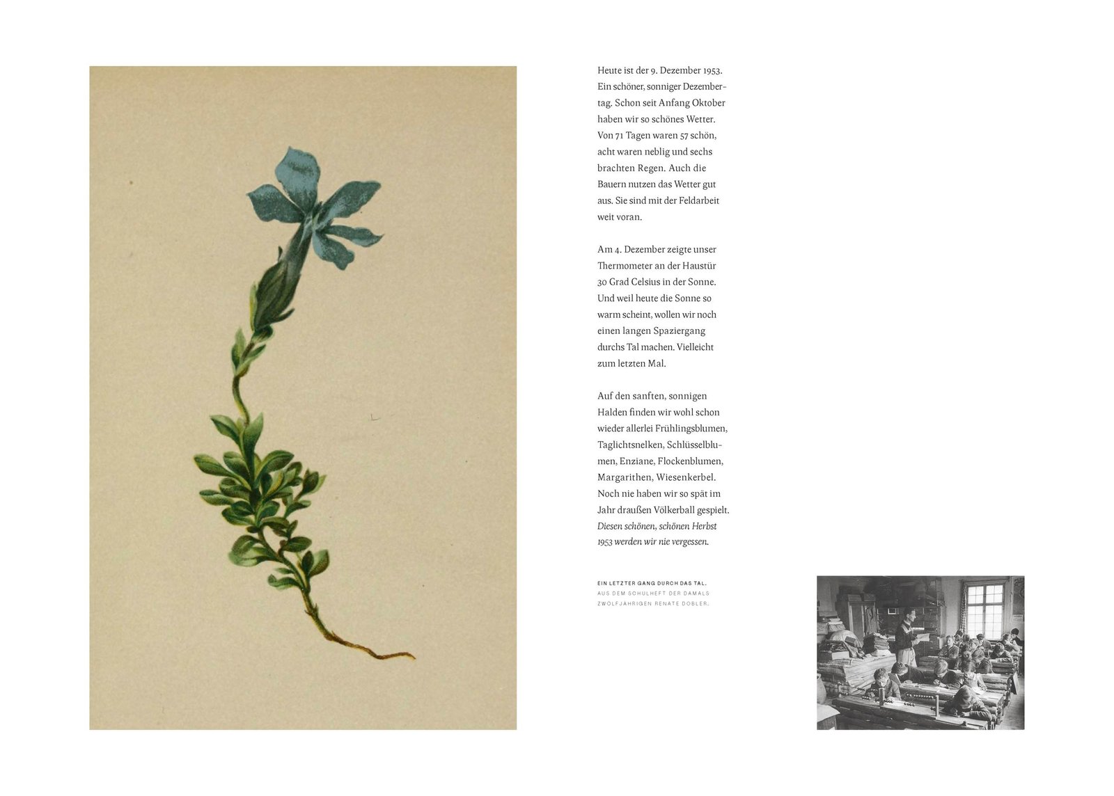 1Buchlayout_bettfederleicht tief unten im Schnee_Sarah Schneider_NJ_p