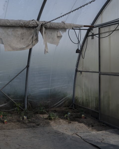 before we turn into stardust