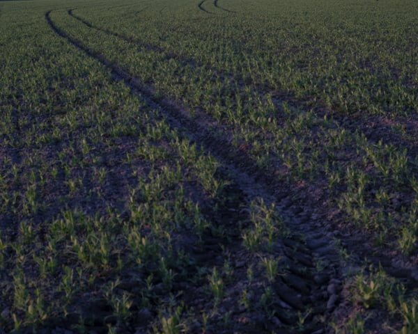 before we turn into stardust