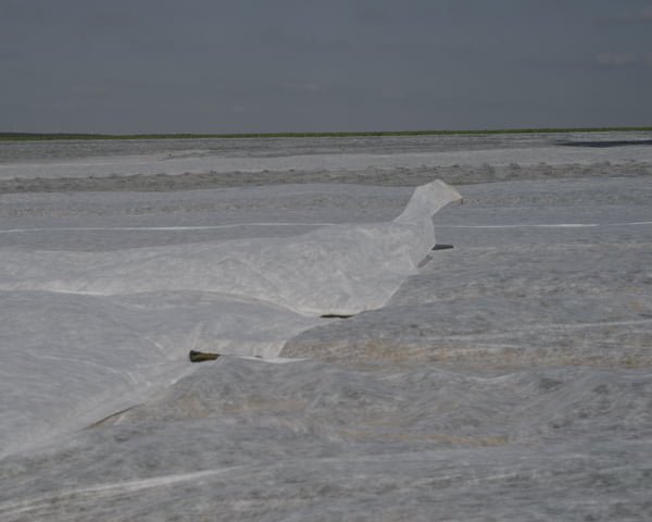 before we turn into stardust