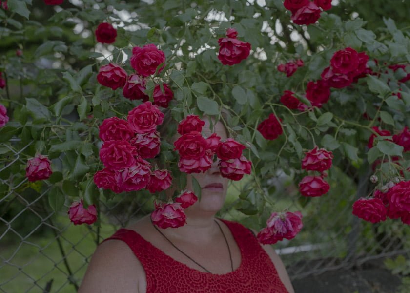 Eine Frau versteckt sich hinter roten Rosen.