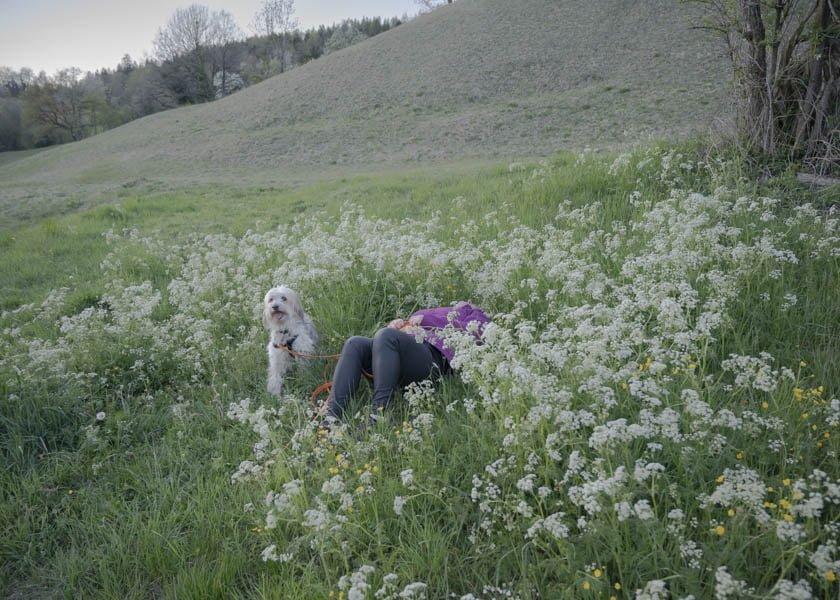Eine Frau liegt mit ihrem Hund in einem Feld mit wildem Schierling. der Hund schaut direkt in die Kamera und hechelt.