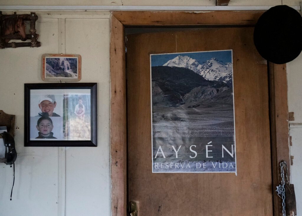 Huemul_(c) Sarah Schneider-3