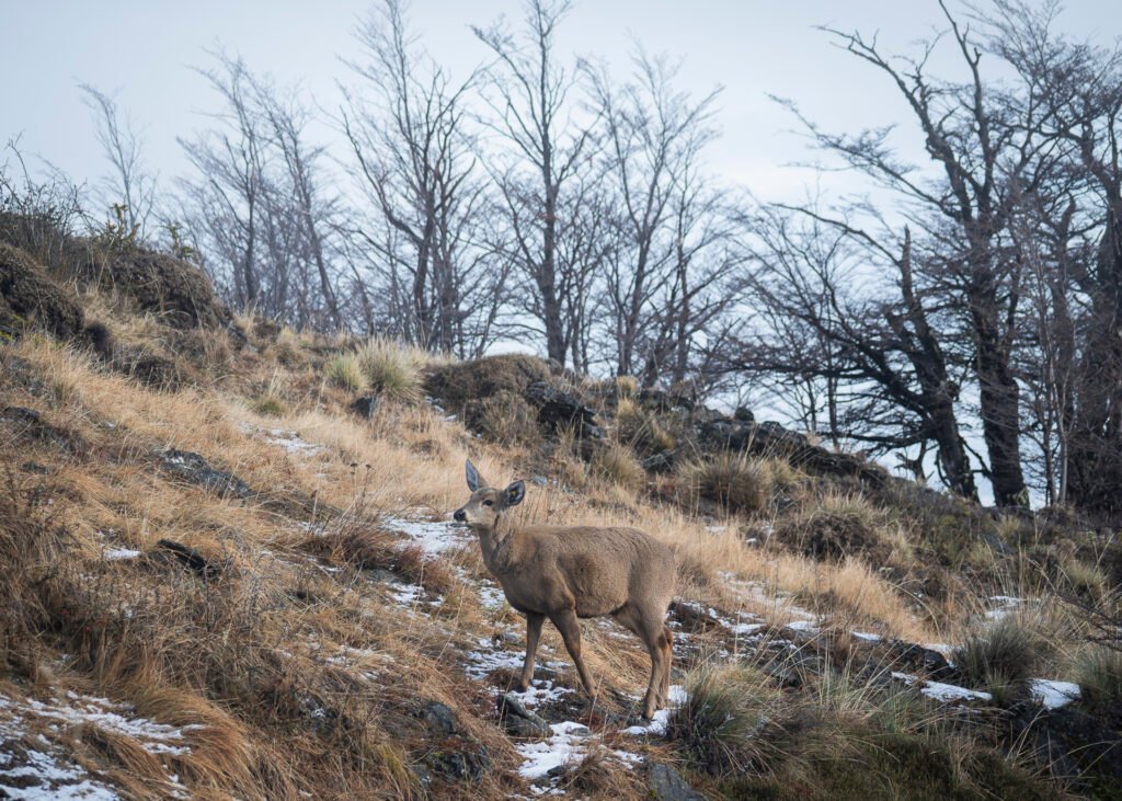 © Sarah Schneider. Titel. DATUM, ORT, LAND.