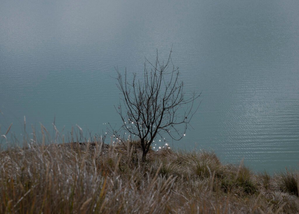 Yo bebo leche y agua