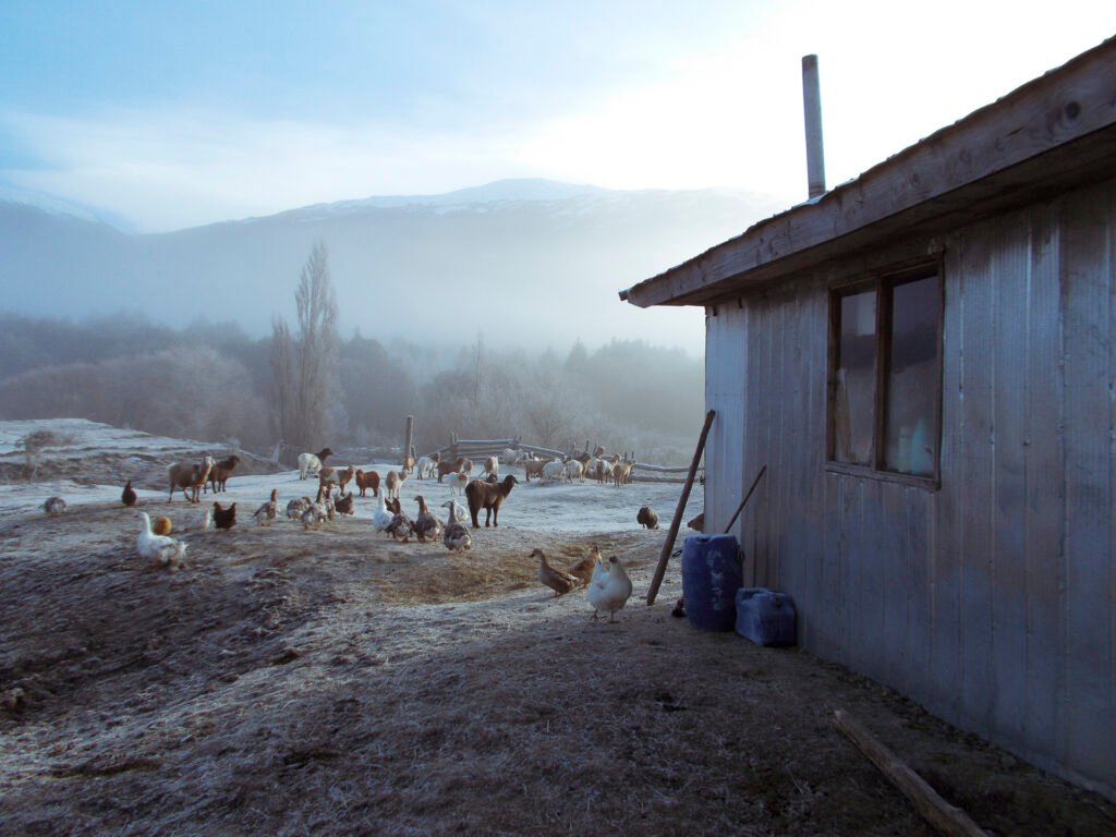 Campo in Patagonia Chilena