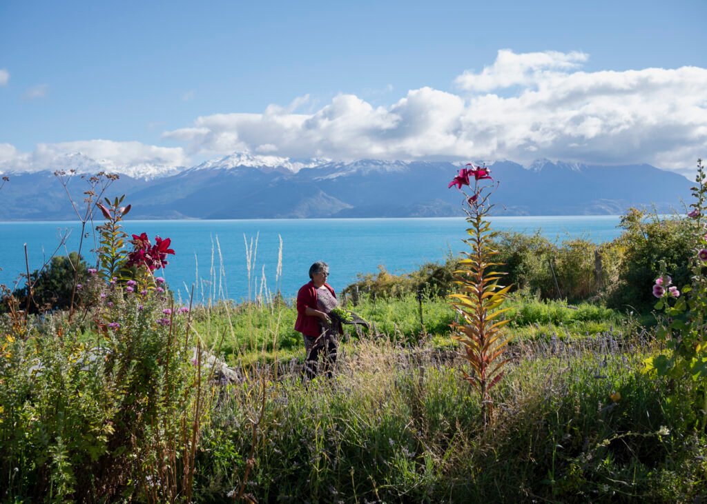 Semillas de Esperanza