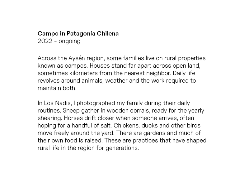 Text_Campo in Patagonia Chilena