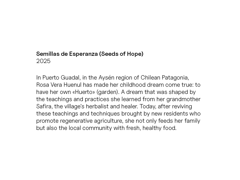 Text_Semillas de Esperanza
